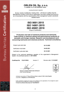 ISO-9001-1021-EN1.png